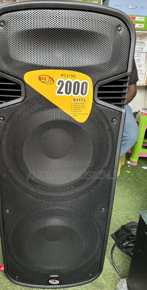 GLS Double Rechargeable Speaker With Two Microphones