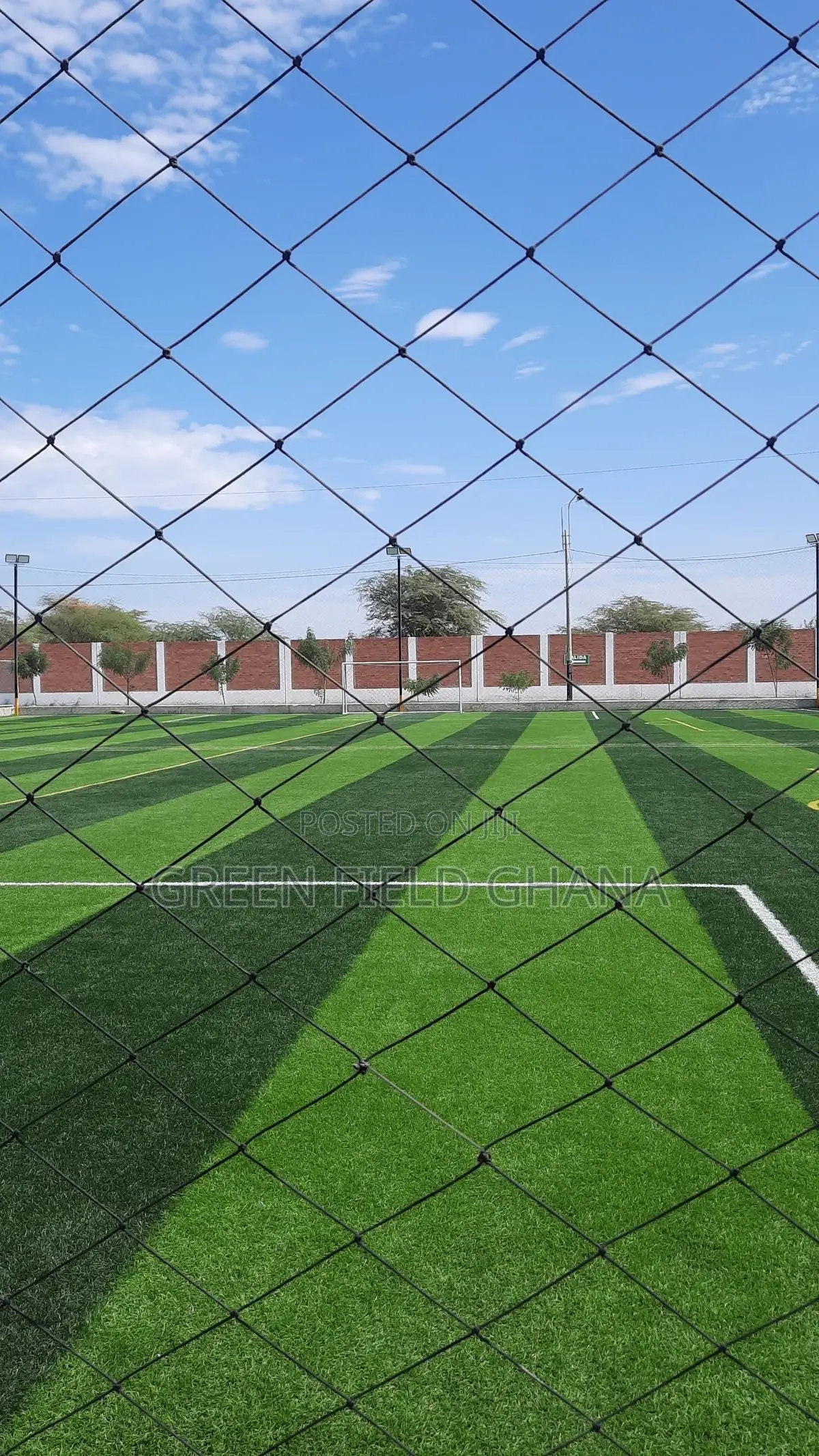 Artificial Grass Carpet