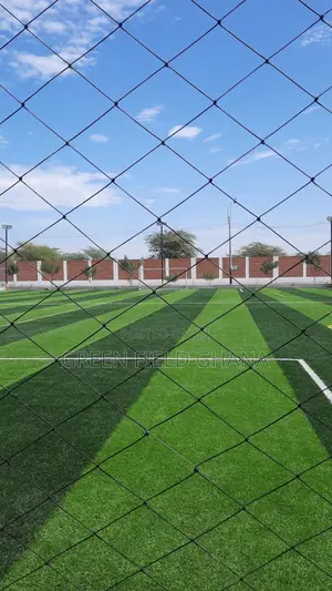 Artificial Grass Carpet