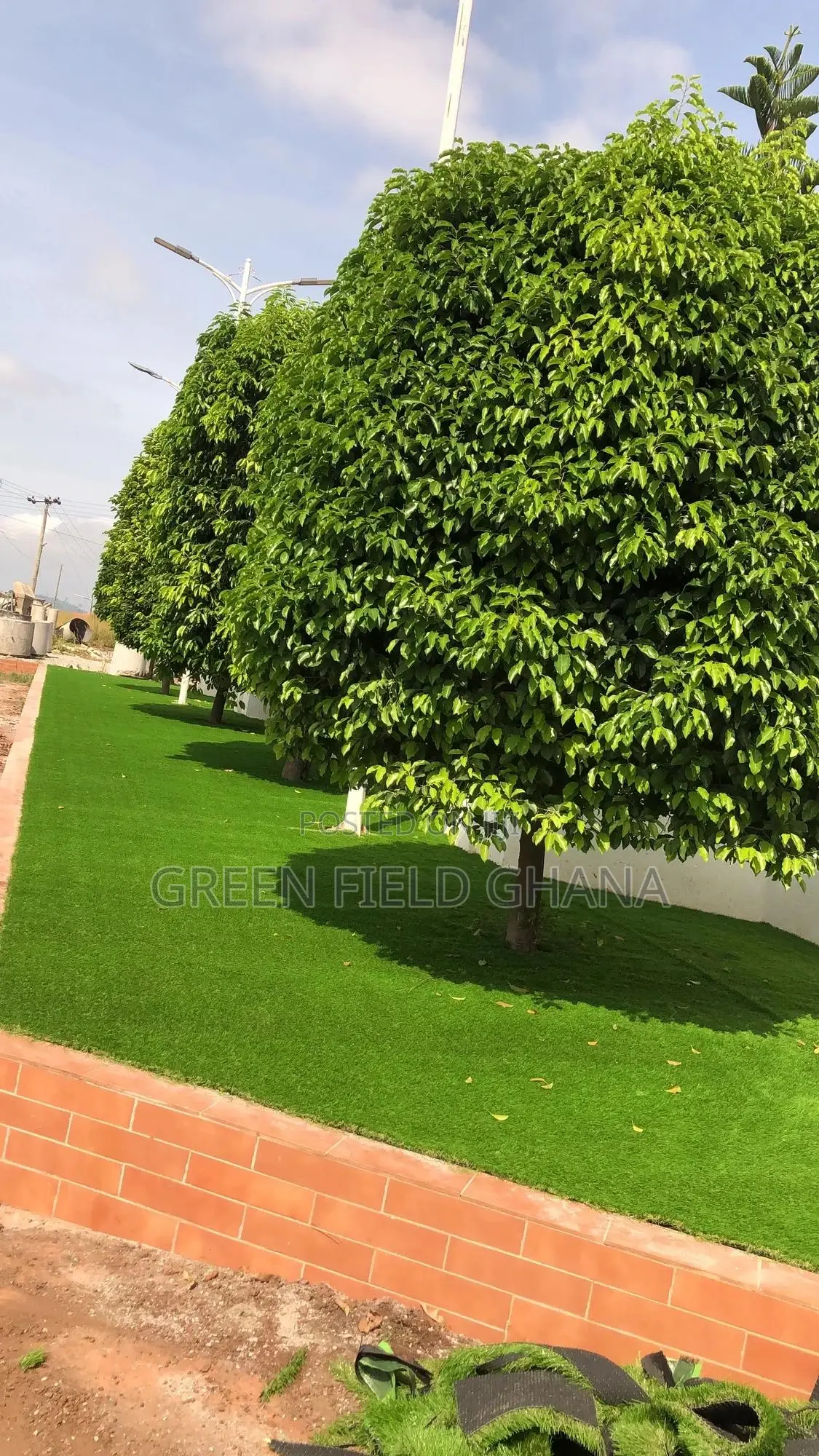 Artificial Grass Carpet