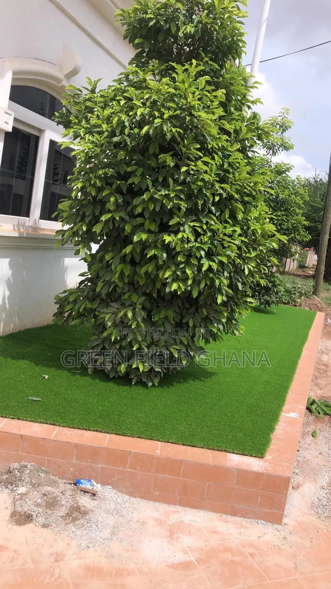 Artificial Grass Carpet
