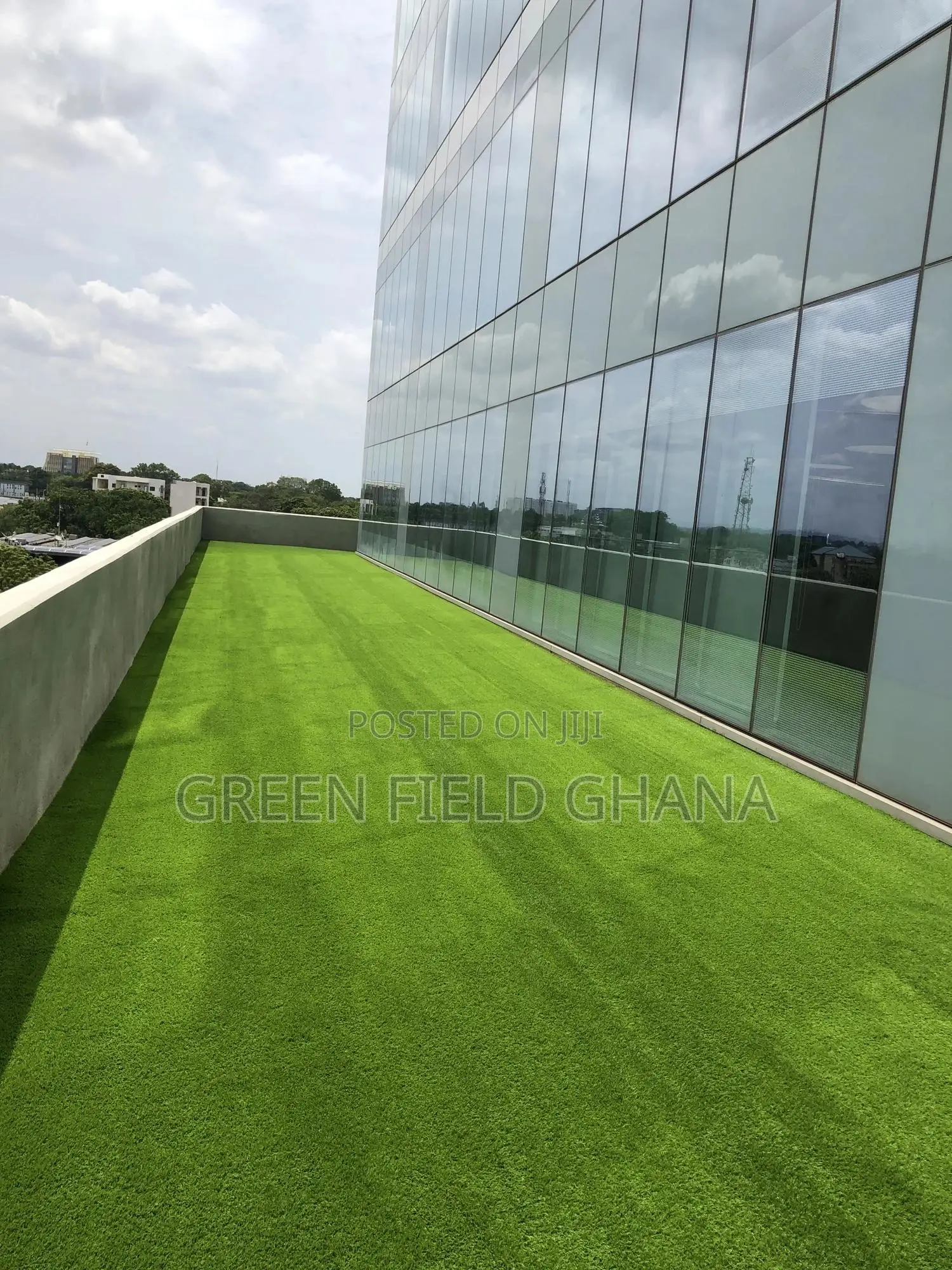 Artificial Grass Carpet