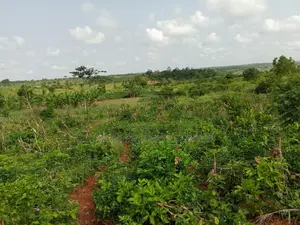 Farmlands For Sale At Winneba Simibrofo