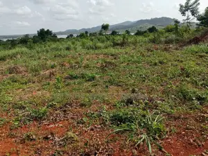 Farmlands For Sale At Winneba Simibrofo