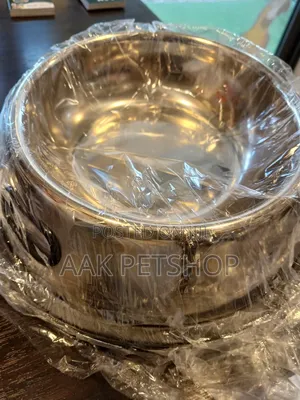 Metal Bowl and Water for Dogs