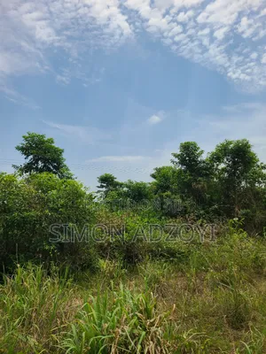 We Have Gold Mining Concession For Sale Of Partnership