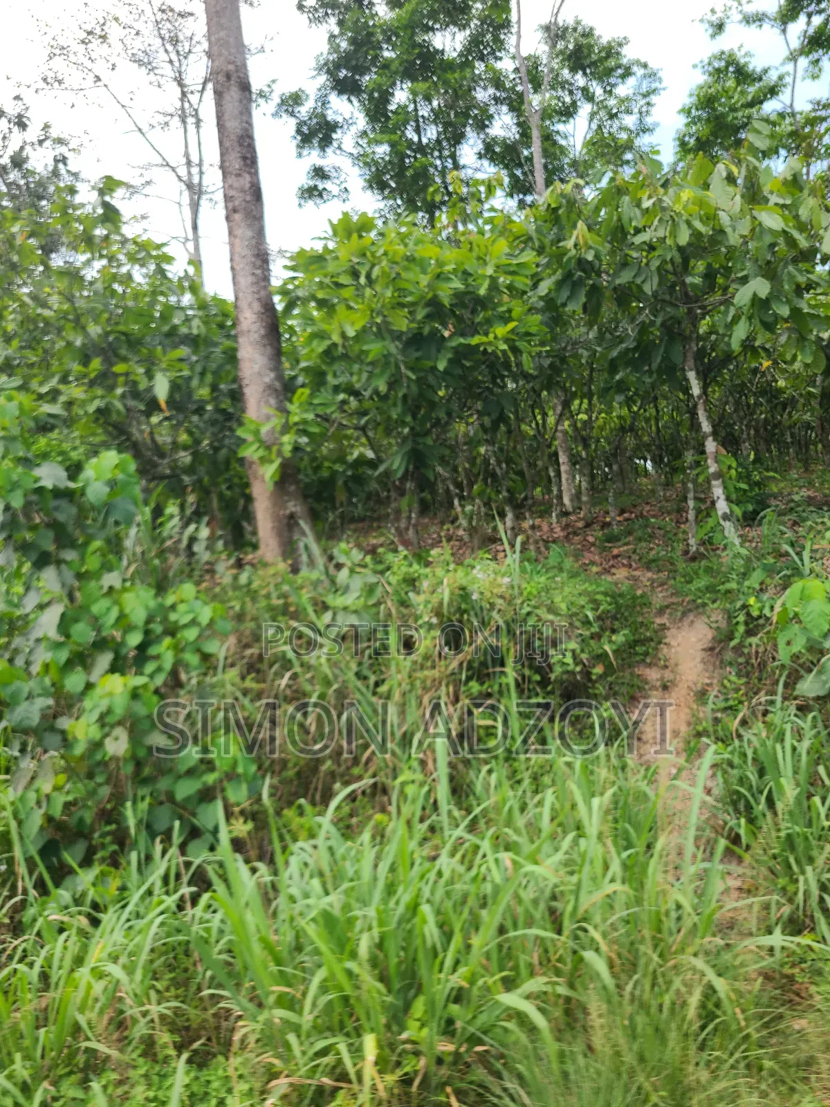 We Have Gold Mining Concession For Sale Of Partnership