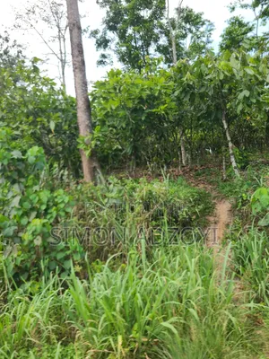 We Have Gold Mining Concession For Sale Of Partnership