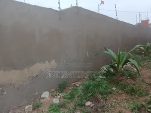 Experts In Damp Walls Repair