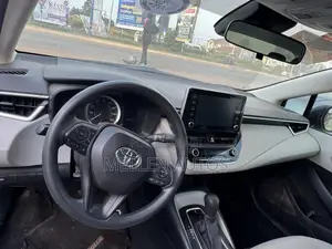 Toyota Corolla LE 2020 Gray