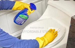 Home/Apartment Cleaning Services