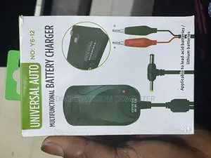 Multifunctional Battery Charger 6v to 12v