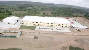3 Acres of Land for Sale Behind Ekumfi Juice Factory Mankesim Road
