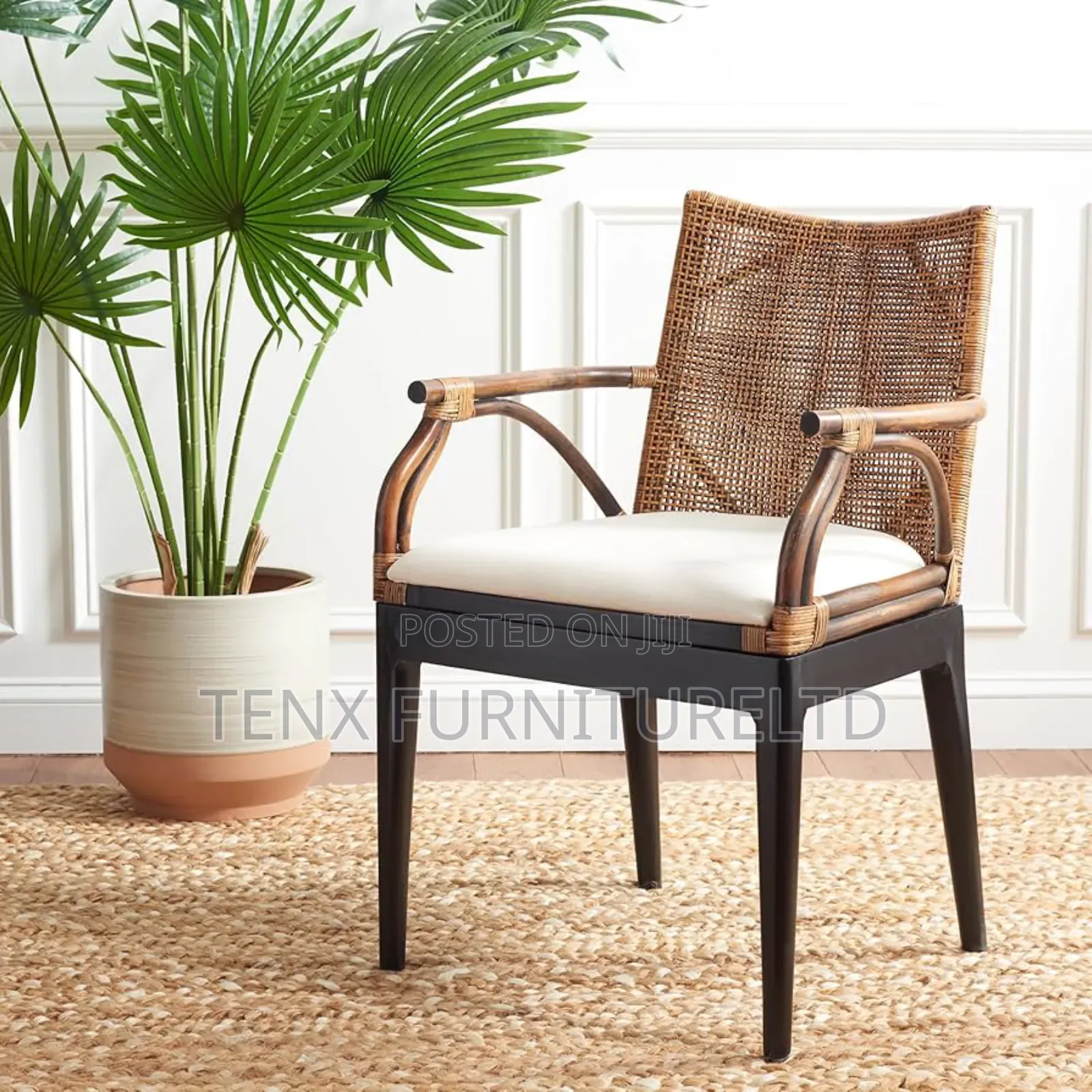 Arm Chair (Tropical Coastal Accent) Safavieh