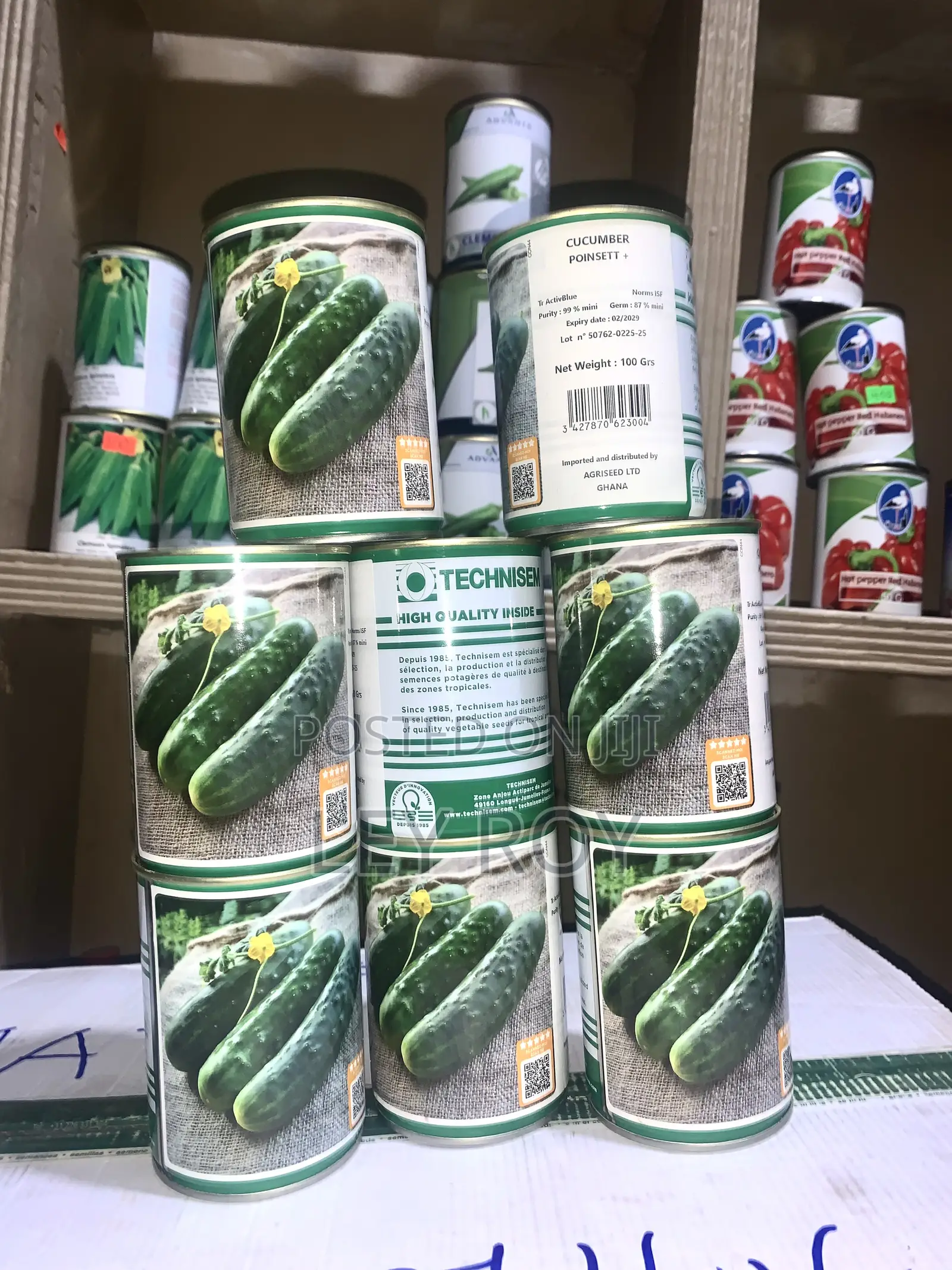 Cucumber (Poinsett)