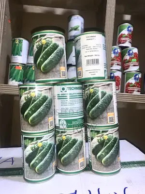 Cucumber (Poinsett)