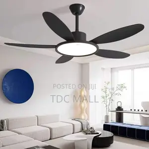 Executive Art Ceiling Fanlight With Remote Control