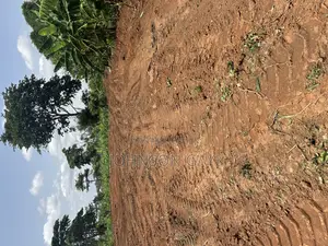 2 Plots of Land for Sale