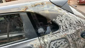 2024 Honda HRV HR-V Body Glass Available