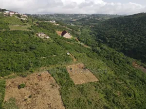 15 Plots Of Land At Peduase For Sale.