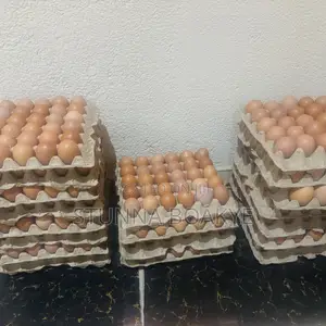 Fresh Eggs