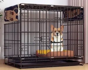 Indoor Metallic Black Cage