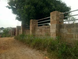 4 Plots ( 1 Acre Land) for Sale at Asuofia 3rd Plot From Main Road.