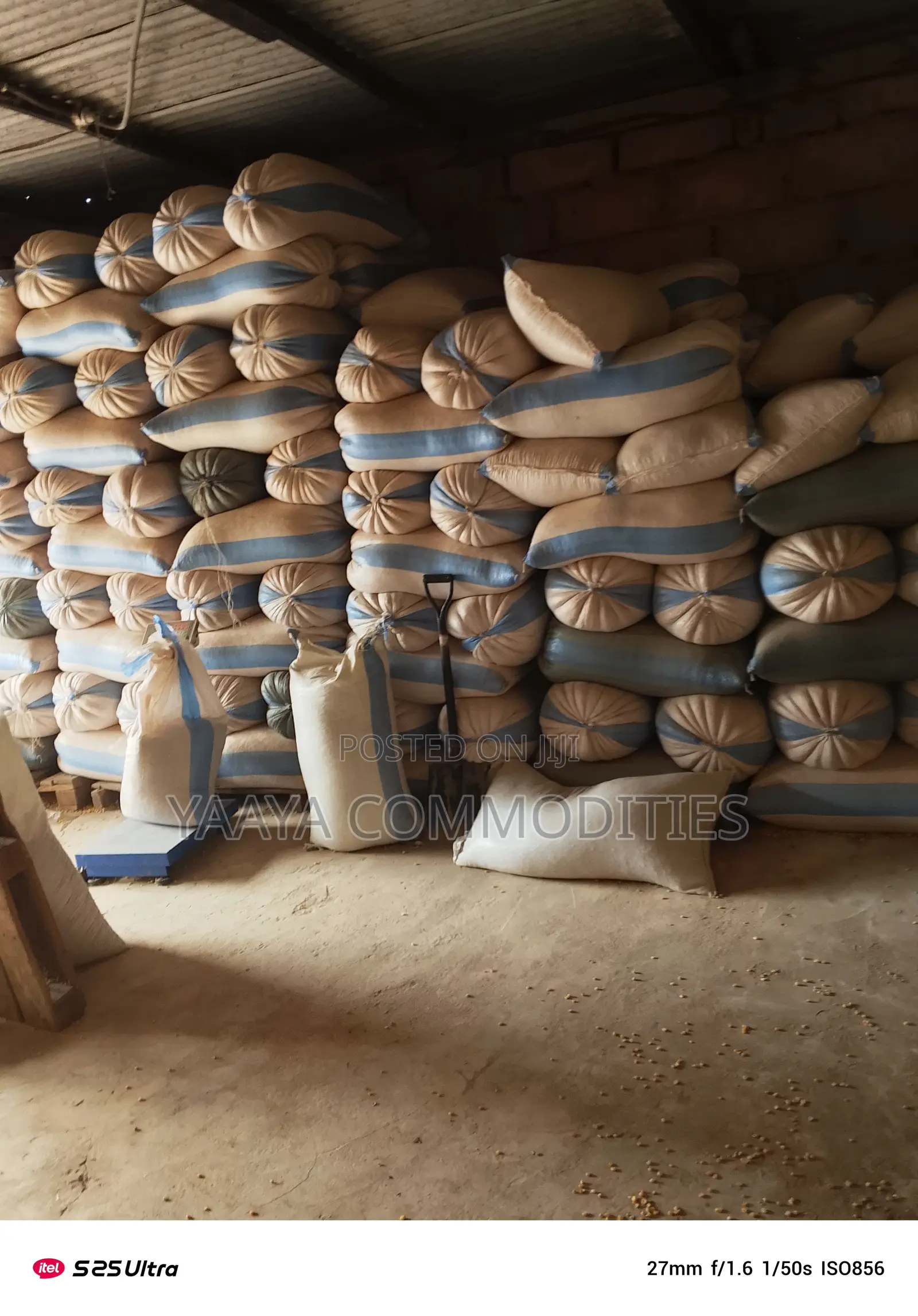 Yellow Corn/White Maize (50kg)