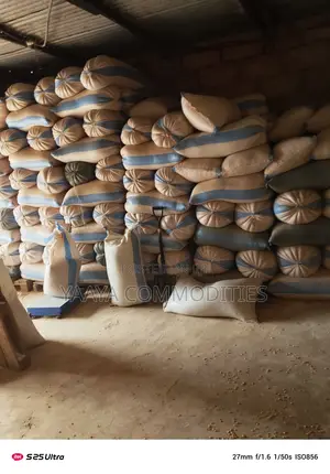 Yellow Corn/White Maize (50kg)
