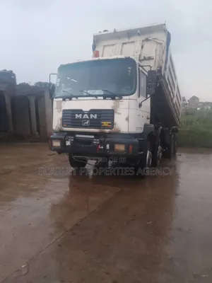 Man Diseal Truck