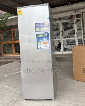 Unique Nasco Single Door Upright Standing Freezer(Nasd1-33)Silver 