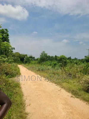 20,000 Acres of Cocoa Farme Land