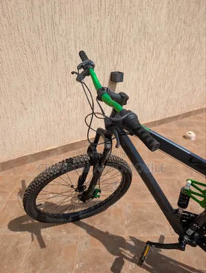 Genesis Bicycle