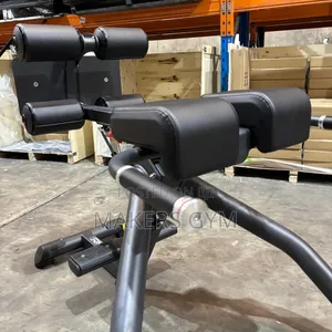 Roman Chair /Commercial Hyperextensions (Power Trainer)