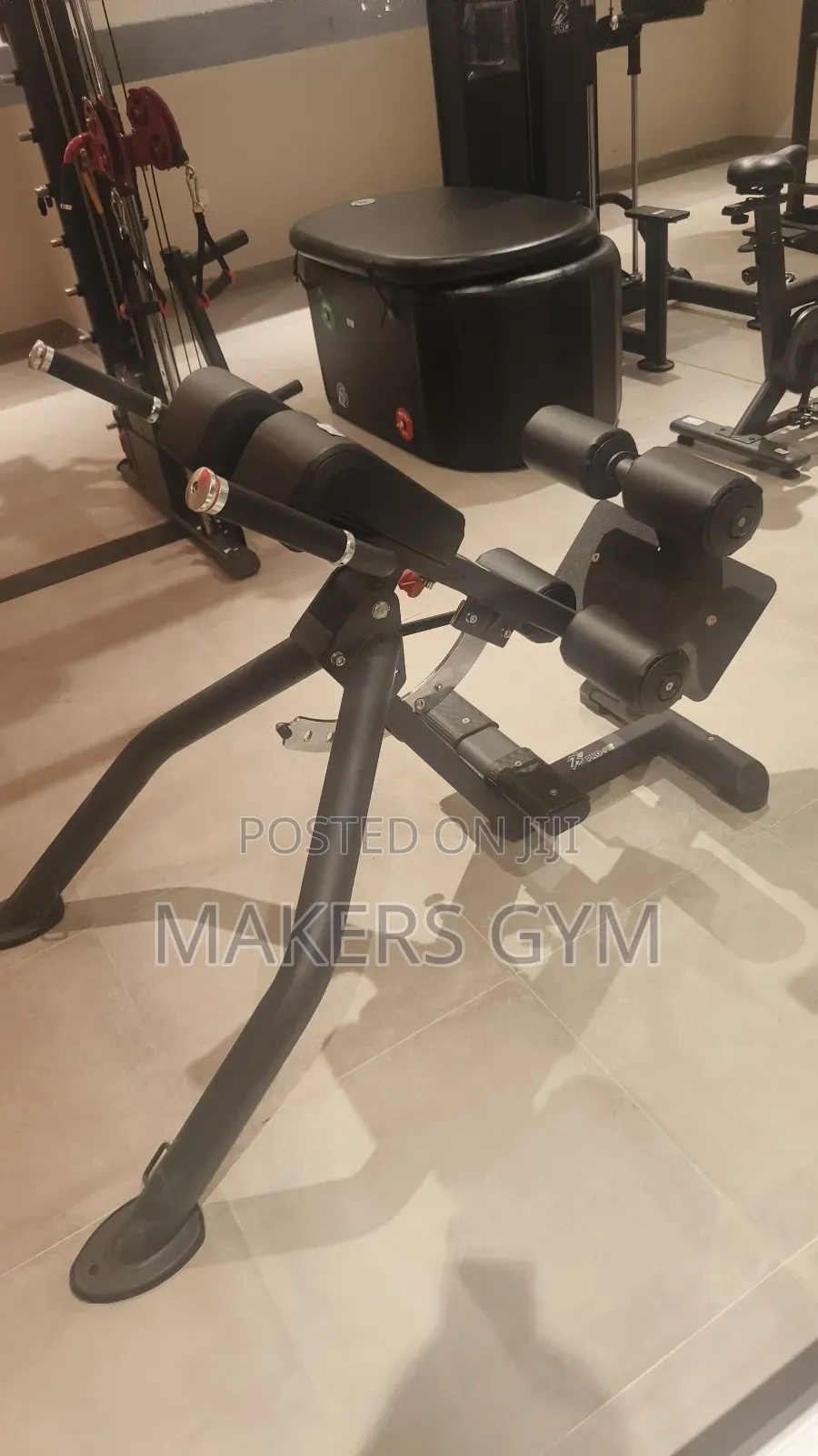Roman Chair /Commercial Hyperextensions (Power Trainer)