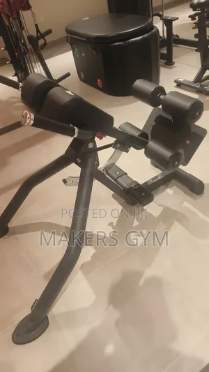 Roman Chair /Commercial Hyperextensions (Power Trainer)