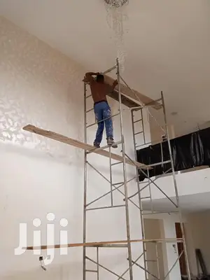 Professional Painter