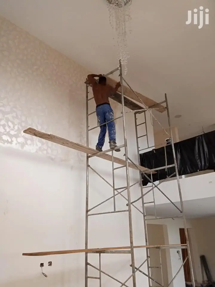 Professional Painter