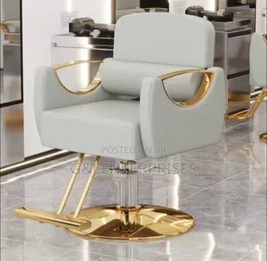 Professional Quality Comfortable Adjustable Barber Chair