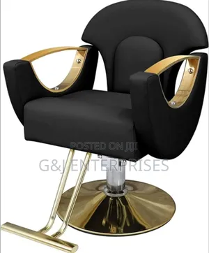 Professional Adjustable Salon Chair