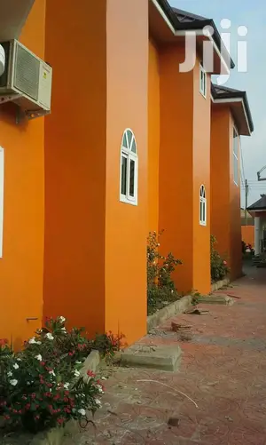 Professional Painter Certified