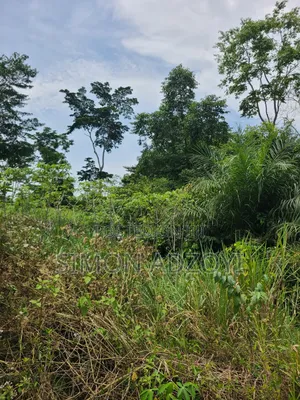 50,000 Farm Land Available for Long-Term Lease
