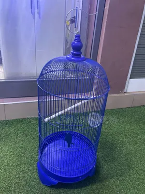 Parrot Conical Cage