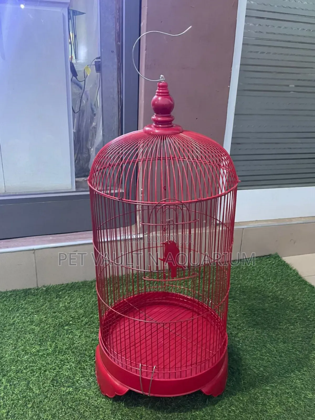 Parrot Conical Cage