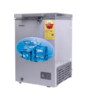100 Litters Deep Freezer