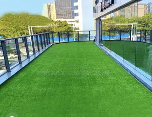 Artificial Grass Carpets / Astroturf for Pools, Balconies and Rooftops