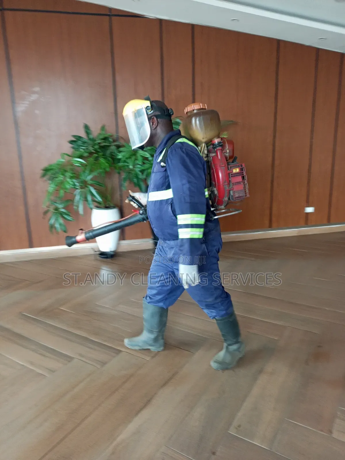 Bedbugs Fumigation