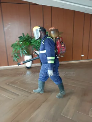 Bedbugs Fumigation