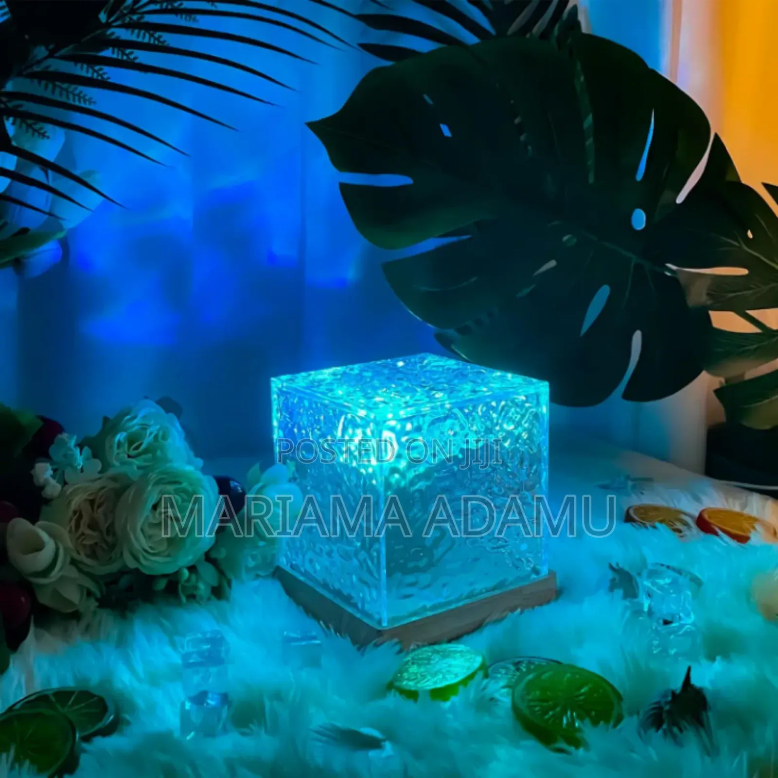 Bedside Night Lamps