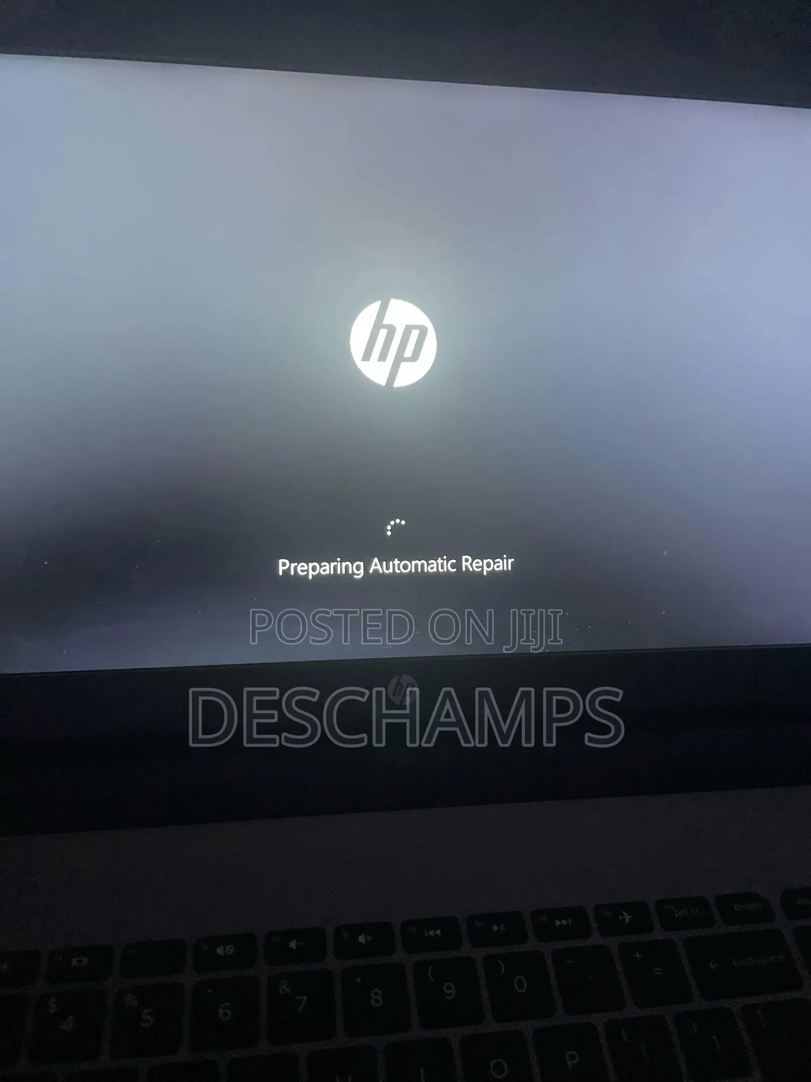 Preparing Automatic Repair Screen Problem